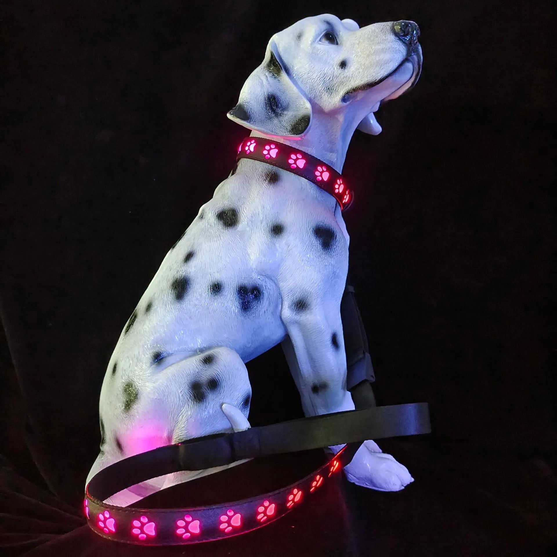 LED luminous cat collar glowing with multi-coloured light on a black background, showing paw print pattern.