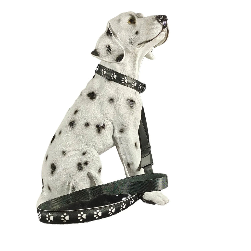 LED luminous cat collar glowing with multi-coloured light on a black background, showing paw print pattern.