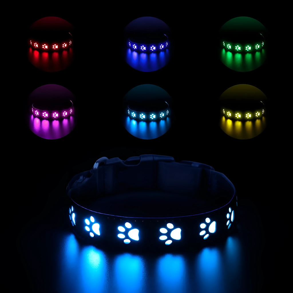 LED luminous cat collar glowing with multi-coloured light on a black background, showing paw print pattern.