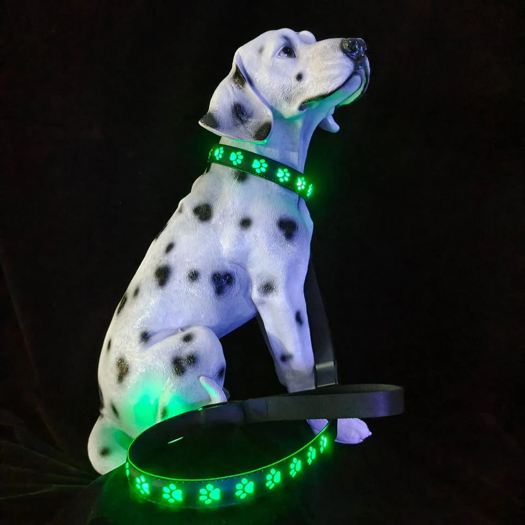 LED luminous cat collar glowing with multi-coloured light on a black background, showing paw print pattern.