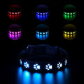 LED luminous cat collar glowing with multi-coloured light on a black background, showing paw print pattern.