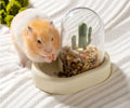 Creative cactus automatic hamster feeder with 190ml transparent grain storage in mint green colour