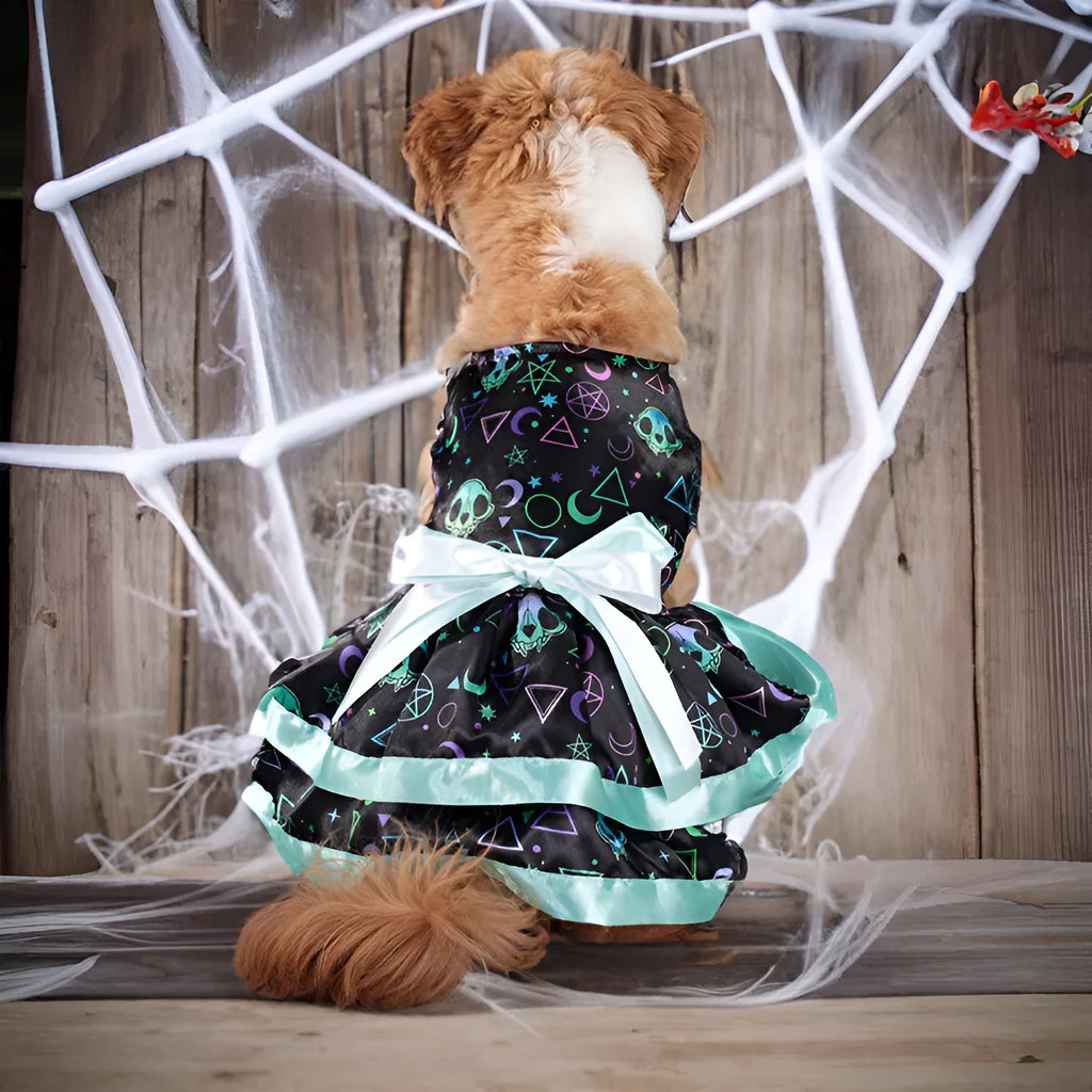 Halloween double-layer pet skirt for dogs in colourful pumpkin print on a model dog.