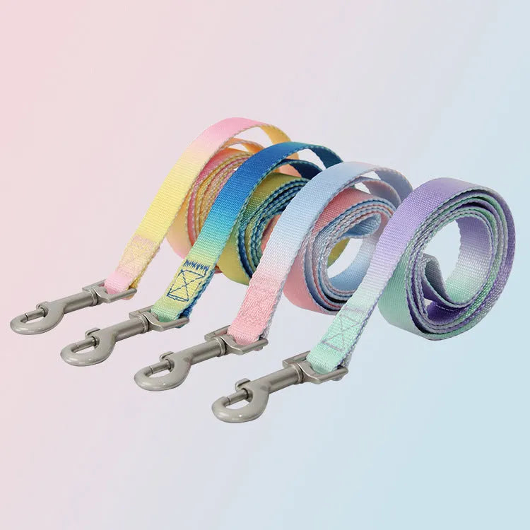Gradient colour nylon dog leash set with collar and harness options for small medium dogs.