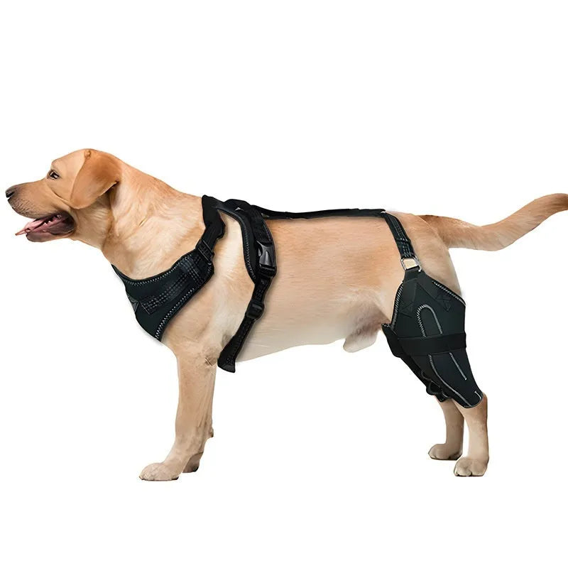 Black adjustable dog thigh protective sleeve with metal support components for post-operative recovery