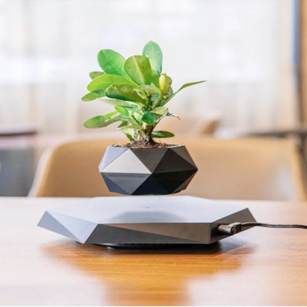 Hexagonal wood grain floating magnetic levitating flower pot hovering above matching base