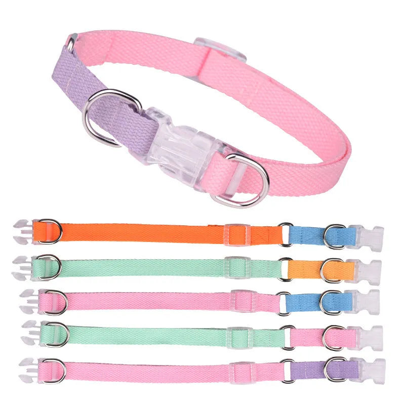 Polyester dog collar, lead, and chest strap set shown in a green and pink two-tone colour combination.