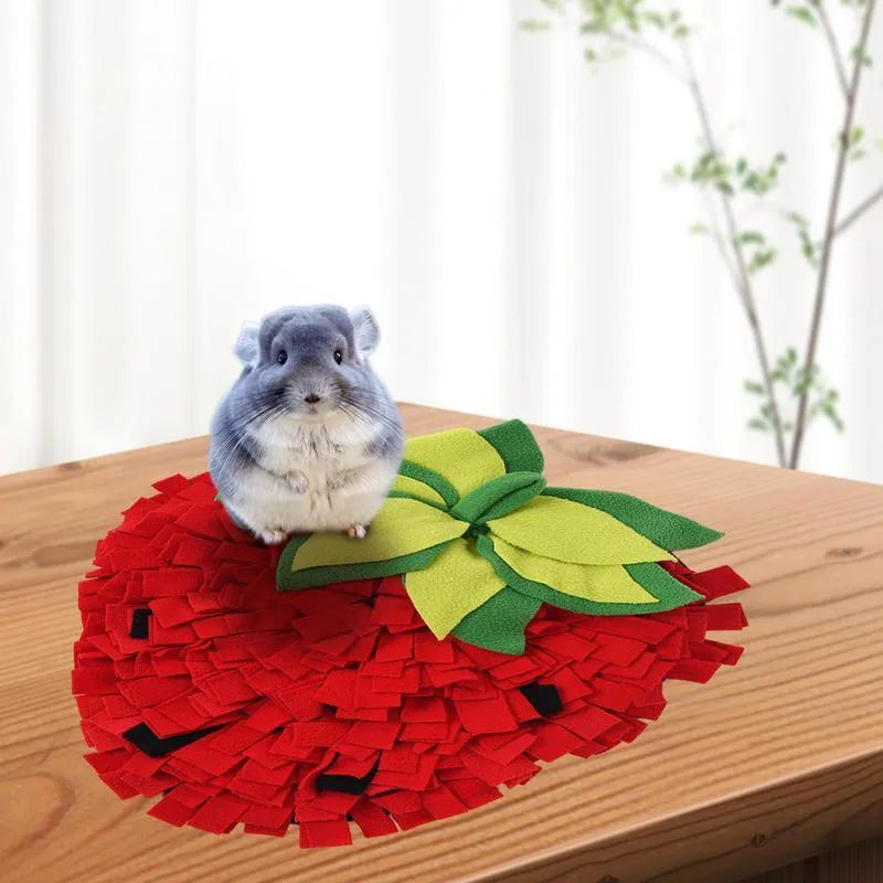 Red and green strawberry-shaped interactive slow feeder mat for pets on a floor.