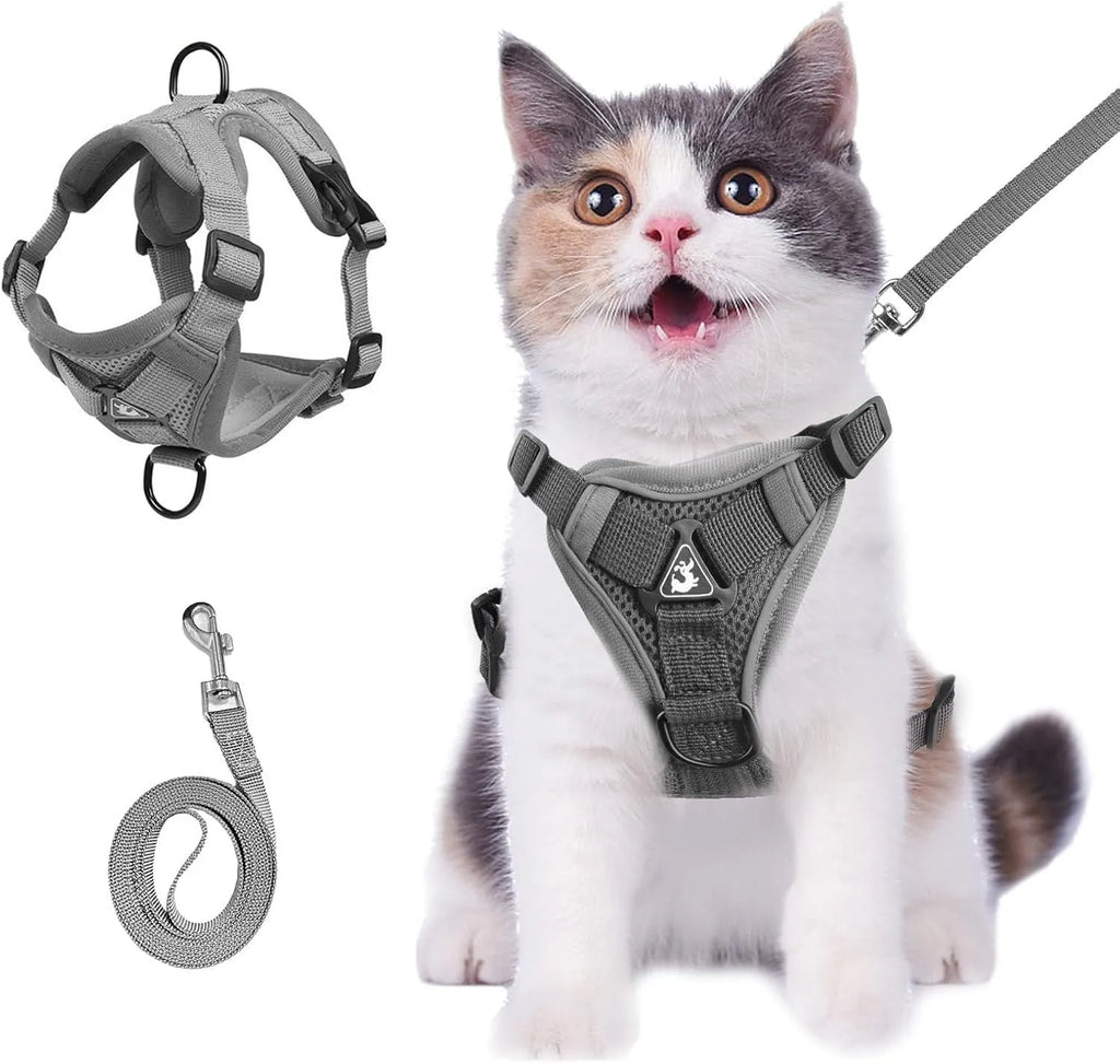A blue mesh cat harness with adjustable straps and a leash, shown on a white background.