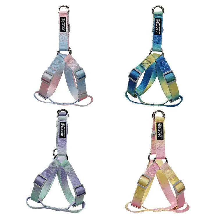 Gradient colour nylon dog leash set with collar and harness options for small medium dogs.