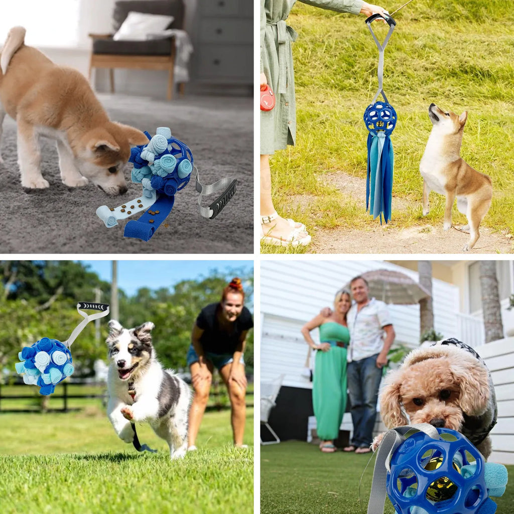 TPR hollow interactive toy ball for pets with bell sound in multiple colours