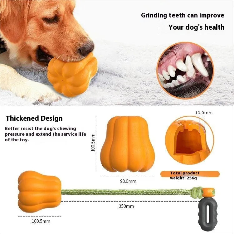 Pumpkin-coloured plastic dog chew toy with an attached rope for fetch and biting.
