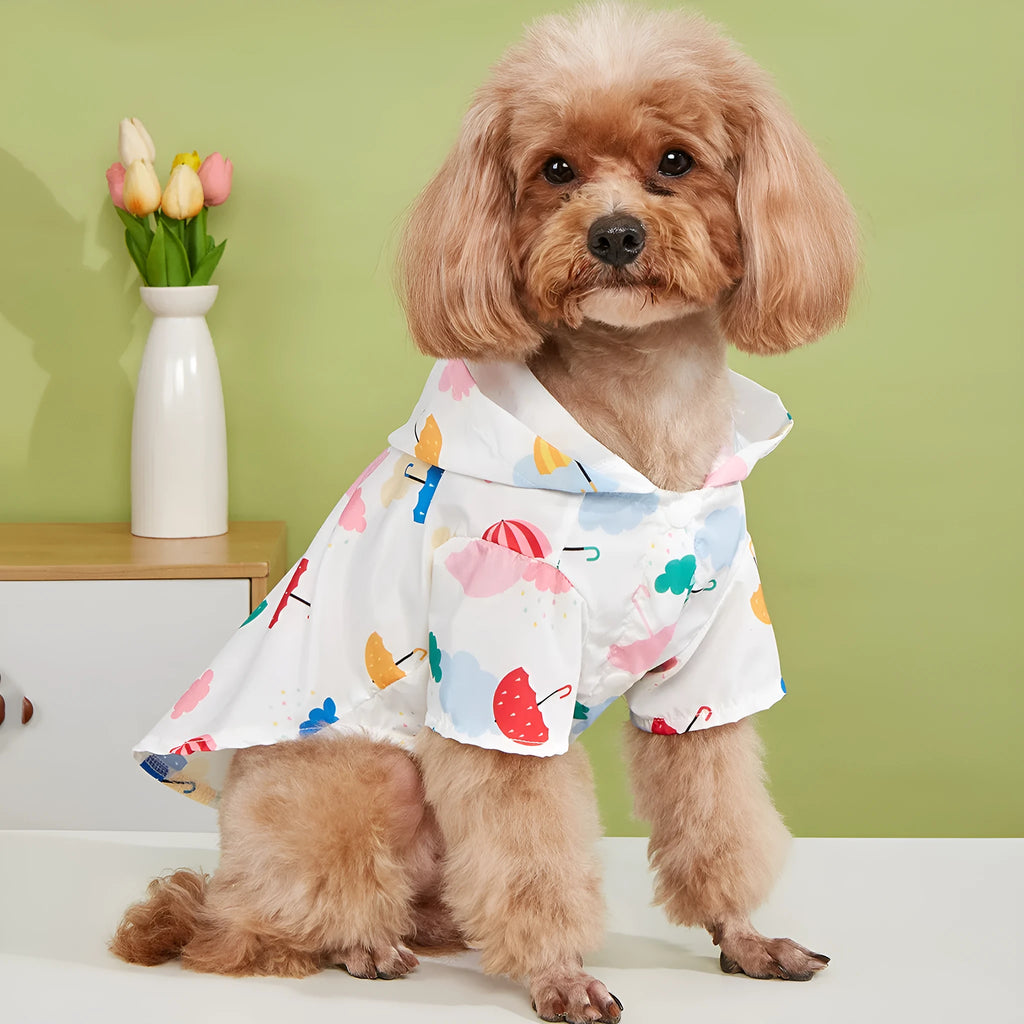 Colourful cartoon umbrella pattern pet raincoat for dogs or cats, shown in size L.