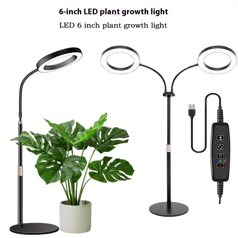 6-inch Angel Ring retractable floor plant grow light with adjustable stand extended to 1.7 metres