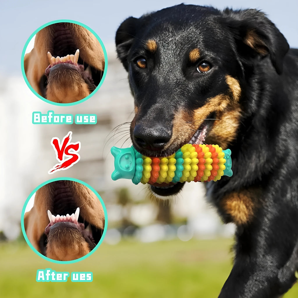 Blue natural rubber caterpillar-shaped dog chew toy showing textured surface and size.