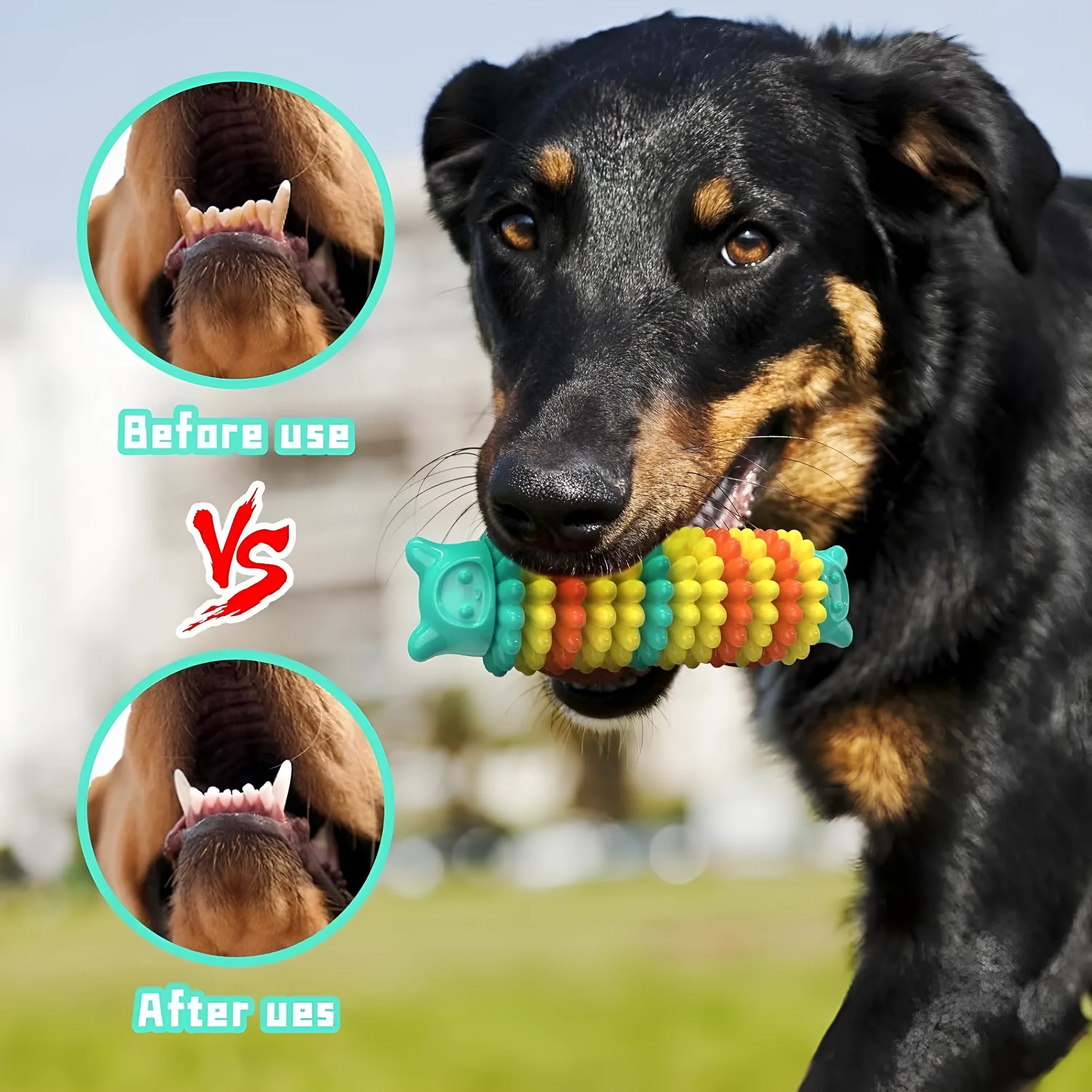 Blue natural rubber caterpillar-shaped dog chew toy showing textured surface and size.