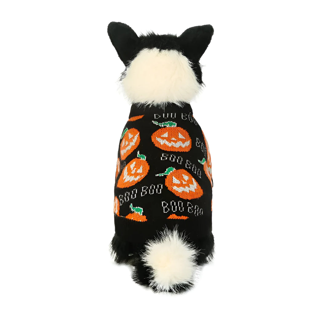 Black Halloween dog sweater with orange pumpkin pattern, showing Velcro strap closure at back