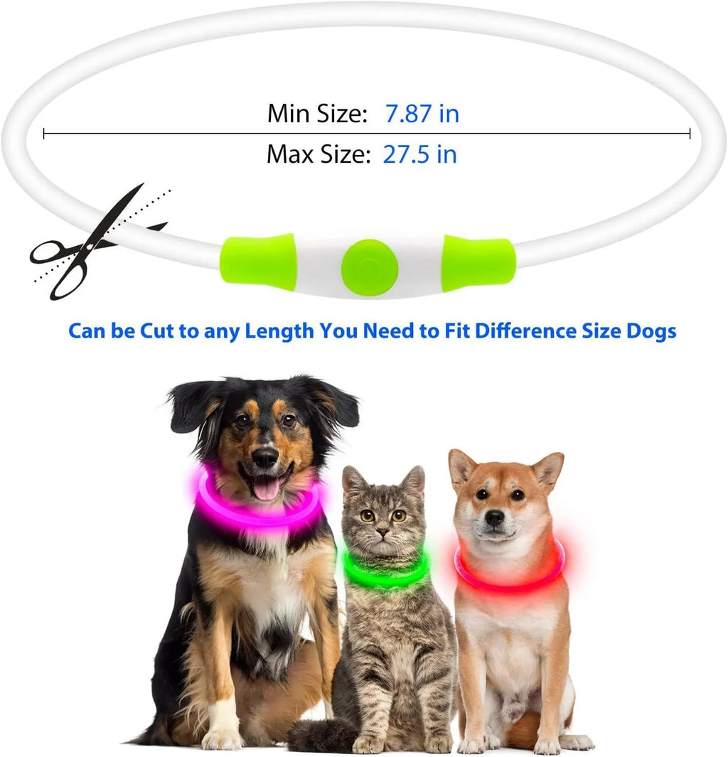 Blue USB rechargeable LED dog safety collar glowing with adjustable 70cm TPU band