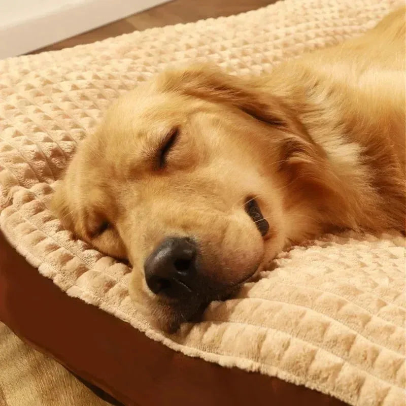 Coffee-colour removable fleece dog bed with cushion shown in medium size