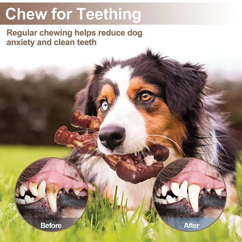 Scarlet coloured nylon dog chew toy with beef flavour for molar nibbling
