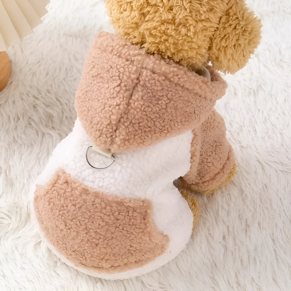 Brown pet hooded cotton-padded coat on a dog with thickened winter padding and full hood