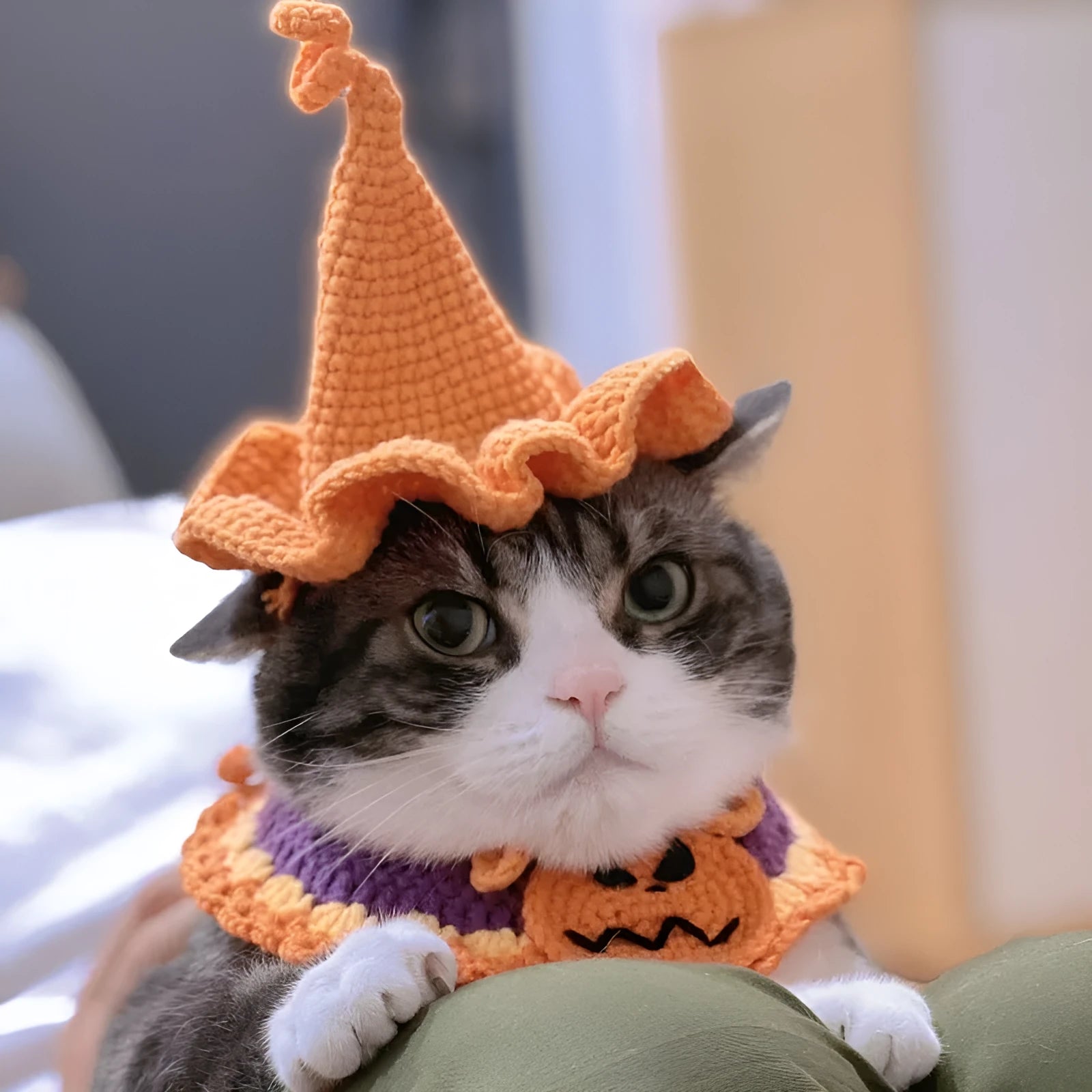 Wool triangle pet scarf with Halloween cartoon pattern, available in S M L sizes with matching hat