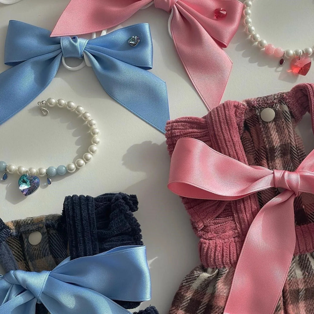 Princess style blue bow dog hair band with adjustable fit on a small dog.