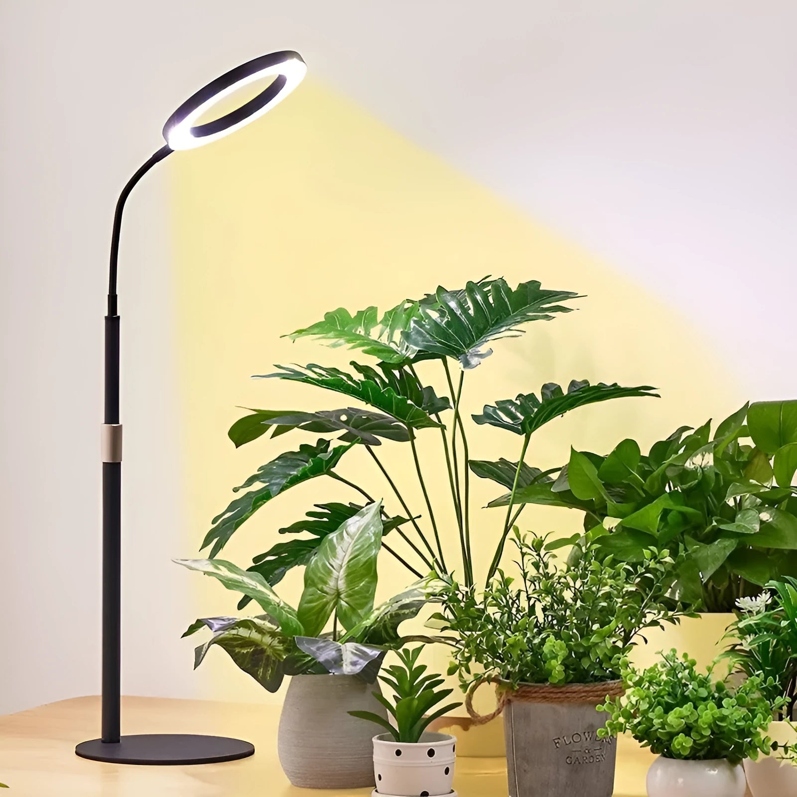 6-inch Angel Ring retractable floor plant grow light with adjustable stand extended to 1.7 metres