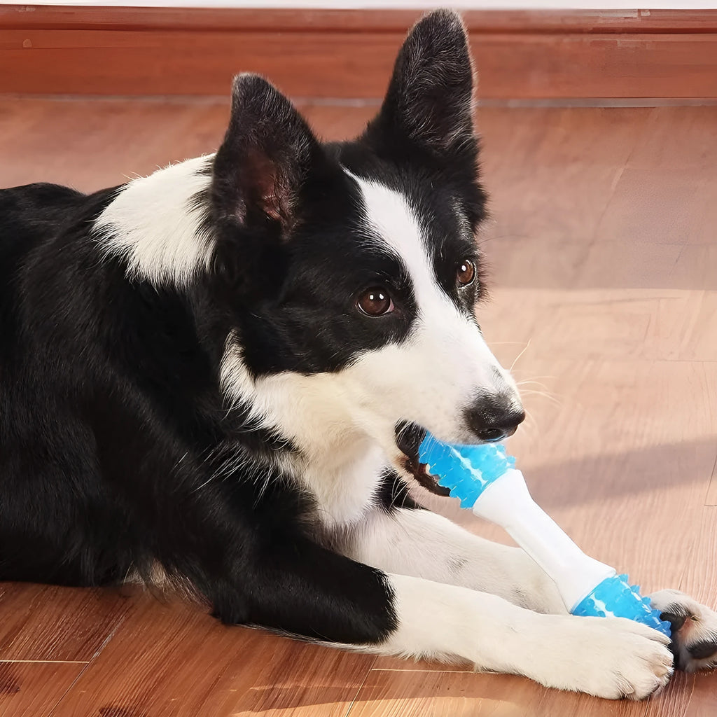 Dual-colour puppy teething chew toy made of PU rubber with varying hardness for dogs aged 2-8 months