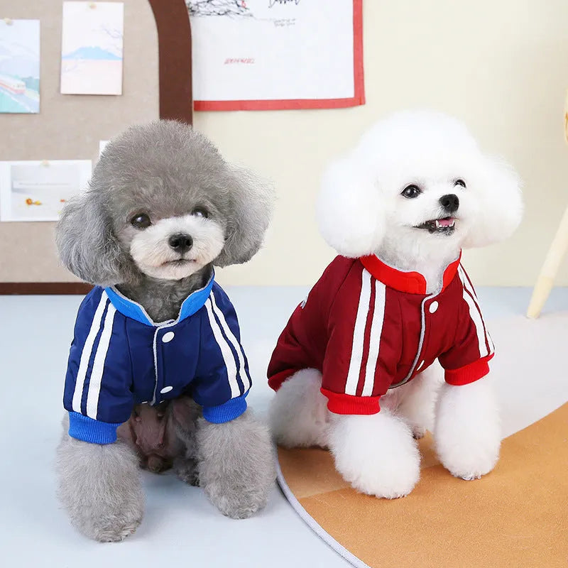 Red V-shaped splicing cotton coat for a dog, showing casual style and thick construction.