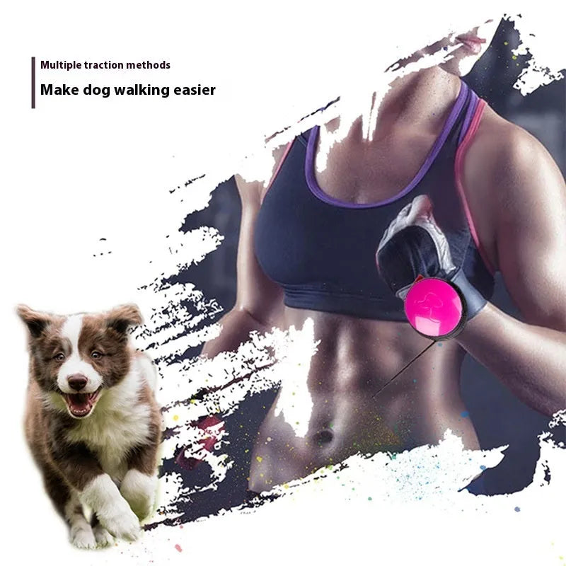 Automatic retractable dog leash showing 3 metre extension with six colour options available