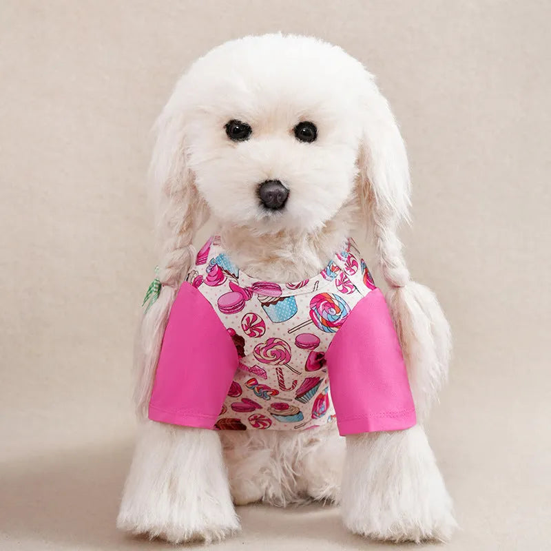 Colourful printed dog t-shirt on a small dog, showing the casual fit and full graphic design.