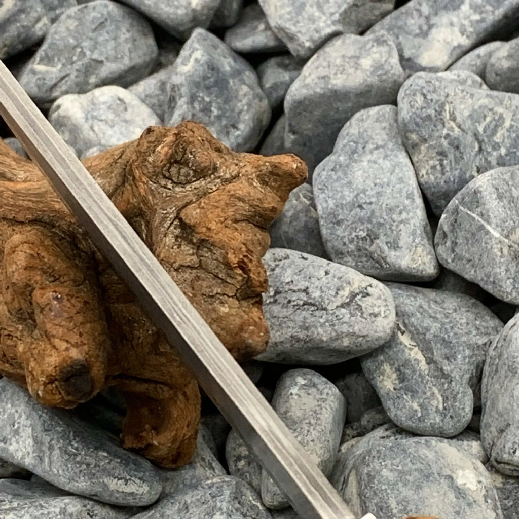 White Shadow Damascus steel short knife with Thuja wood handle, showing blade pattern.
