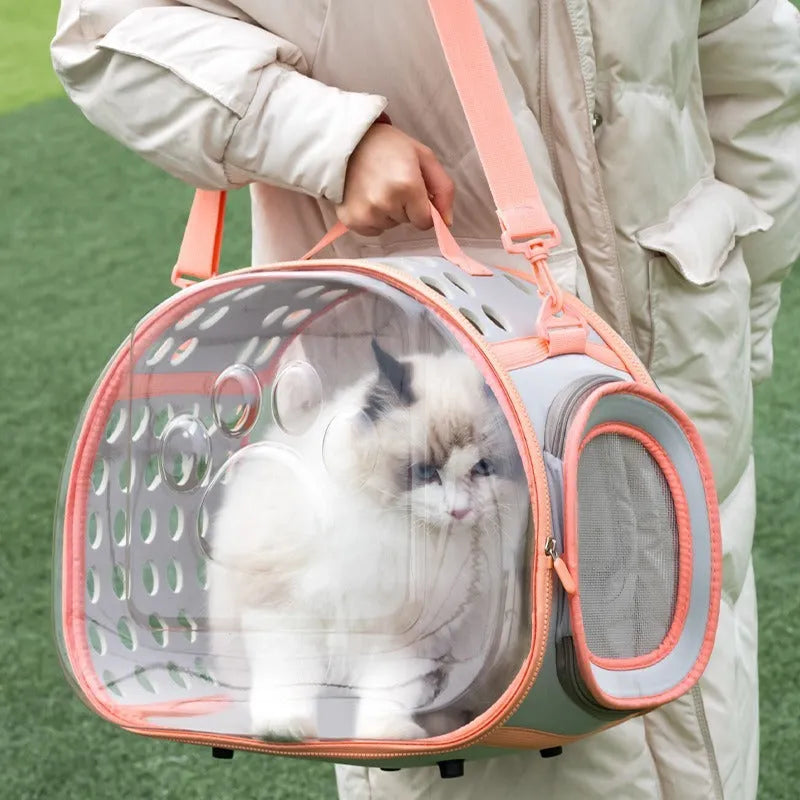 Transparent EVA cat backpack carrier in space capsule design showing interior space