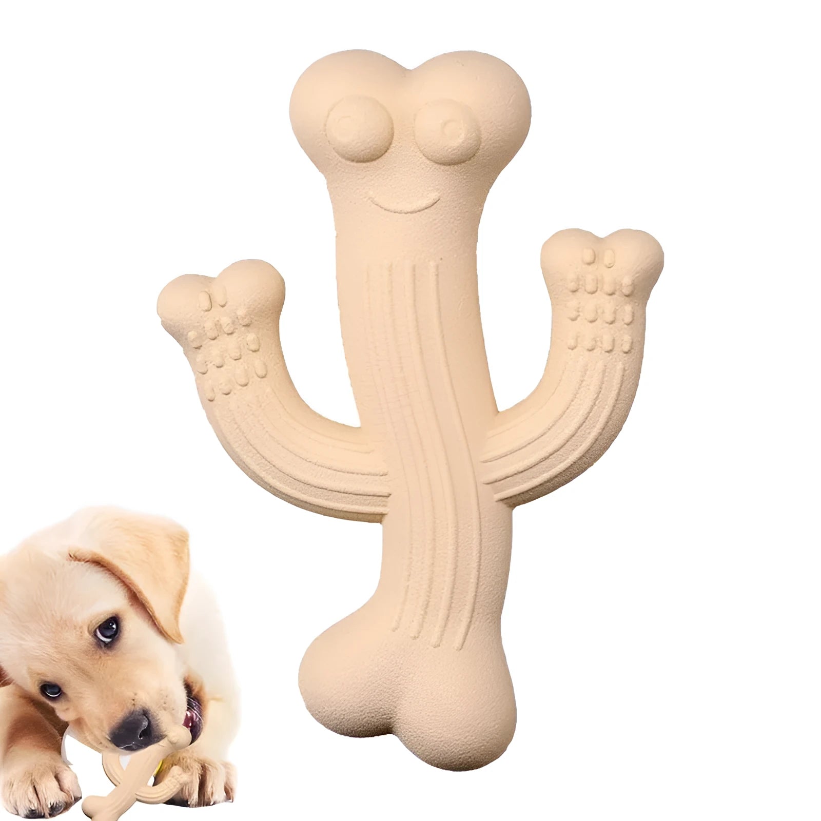Beige, blue, or purple cactus-shaped dog chew toy made from bamboo fibre and rubber.