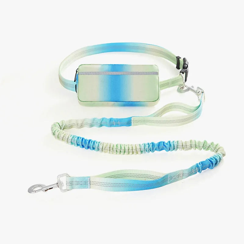 Adjustable hands-free dog leash with waist belt in blue green pink red colours for walking and running