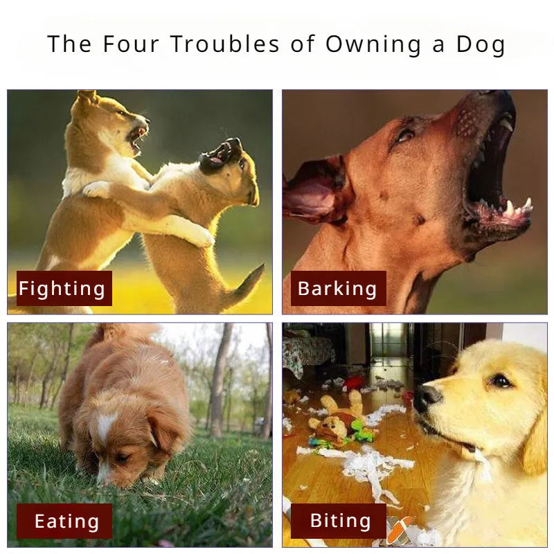 Black dog muzzle with silencer function for barking control and bite prevention on golden retriever