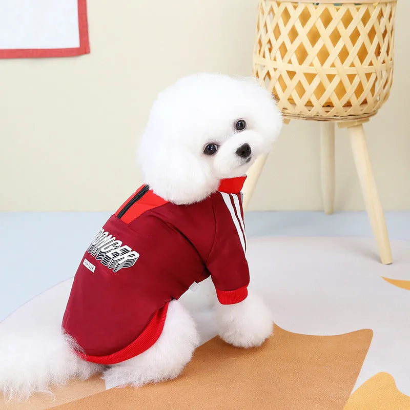 Red V-shaped splicing cotton coat for a dog, showing casual style and thick construction.