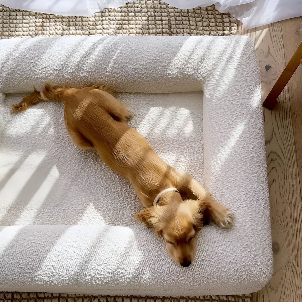 Beige rectangular dog bed nest with raised edges, shown in S and M size options