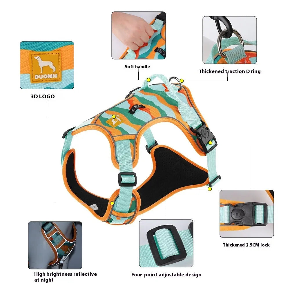 Reflective orange dog walking rope with chest and back harness held in hand