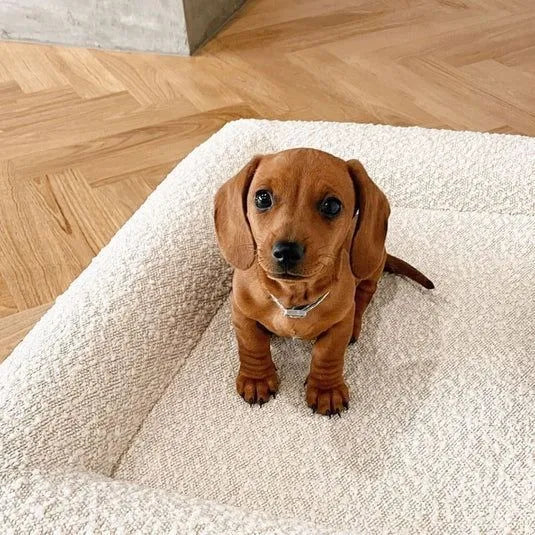 Beige rectangular dog bed nest with raised edges, shown in S and M size options