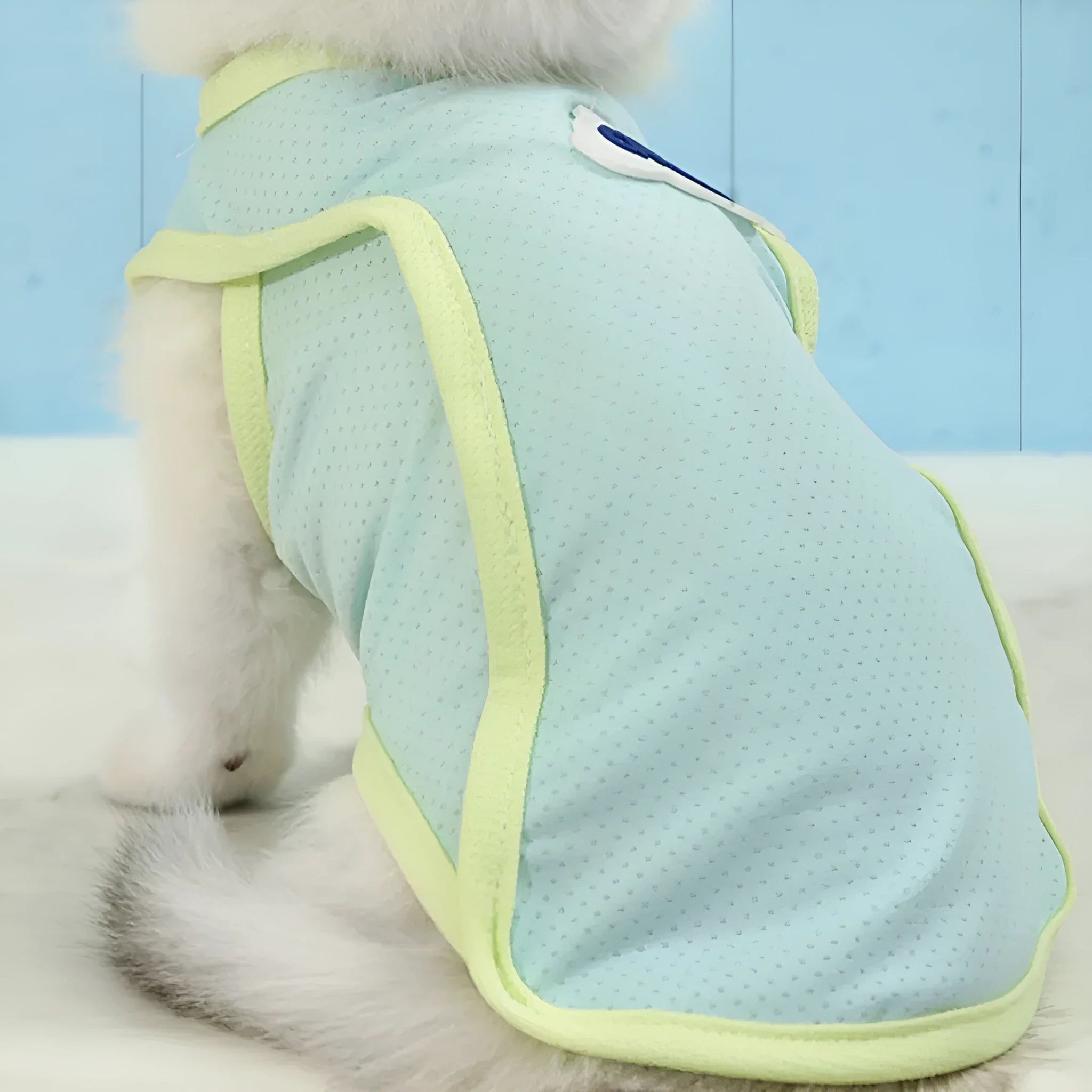 Grass green thin polyester vest for a cat on a white background.