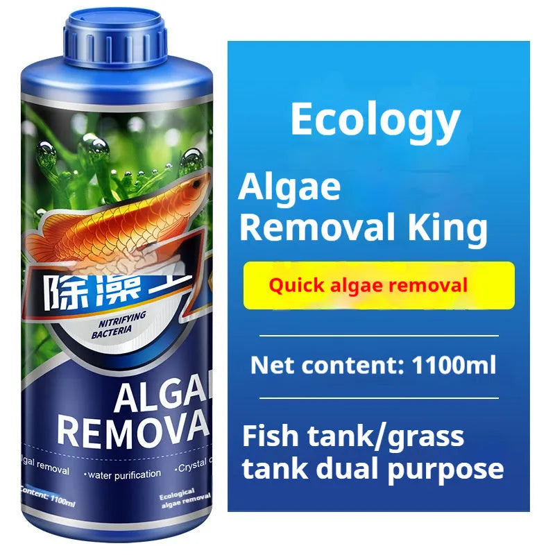 Bottle of ecological algae removal King liquid algaecide for freshwater fish tank and pond green algae control