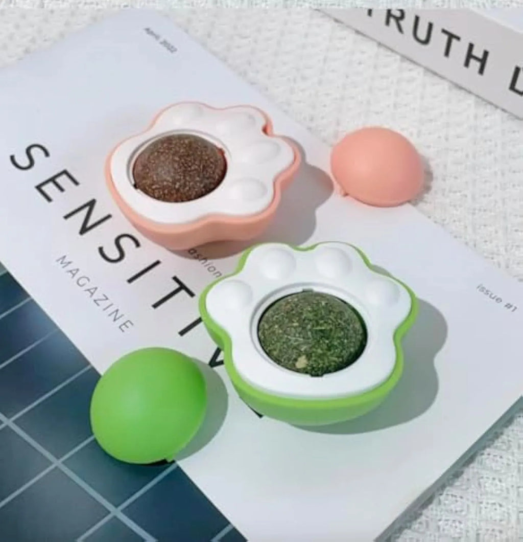 Coloured catnip balls with edible vine treats for dental cleaning and wall-mounted play