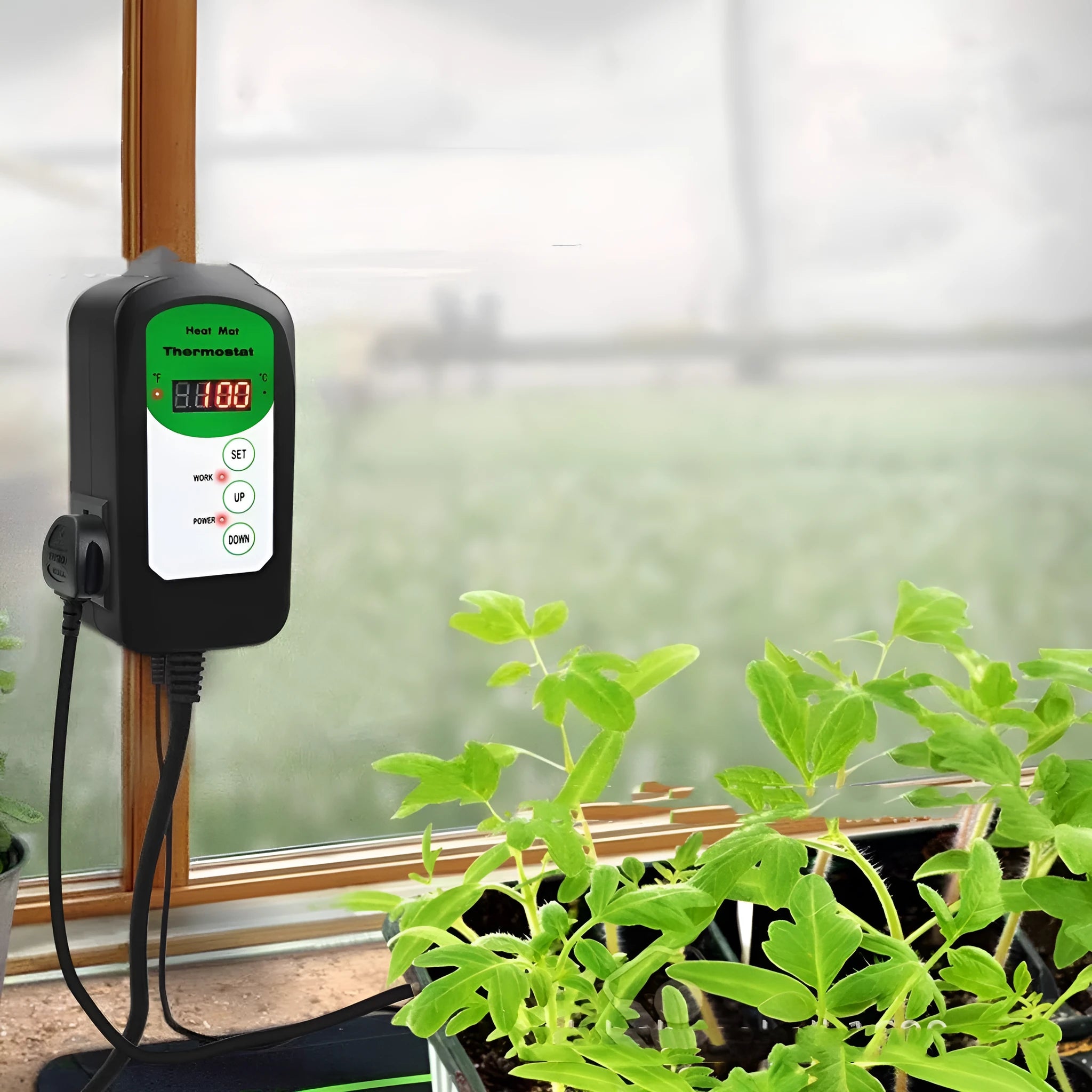 Household digital temperature controller with LED display showing temperature reading