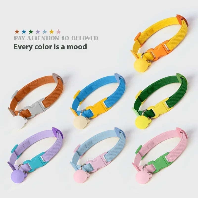 Elastic monochrome pet collar for small dogs in seven colour options on a white background.