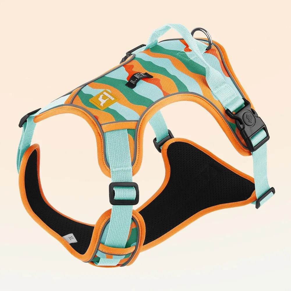 Reflective orange dog walking rope with chest and back harness held in hand