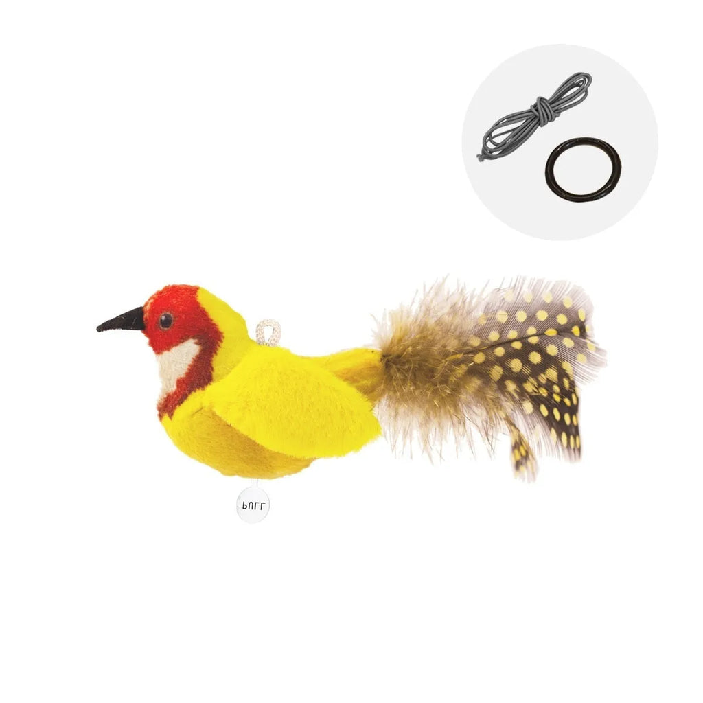 Colourful bird simulation plush cat toy in blue kingfisher design with soft fabric construction
