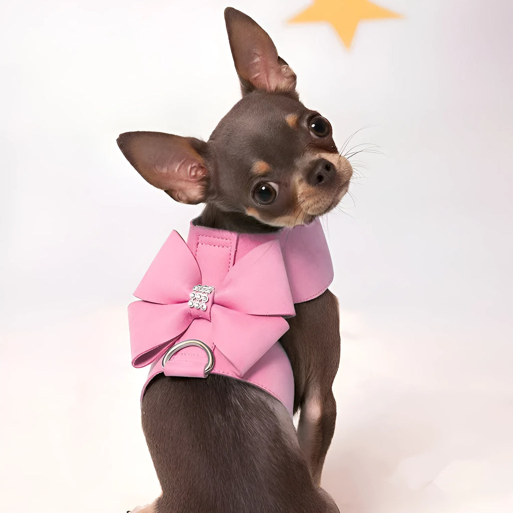 A pink dog harness with a white bowknot on the chest strap, shown on a small dog.