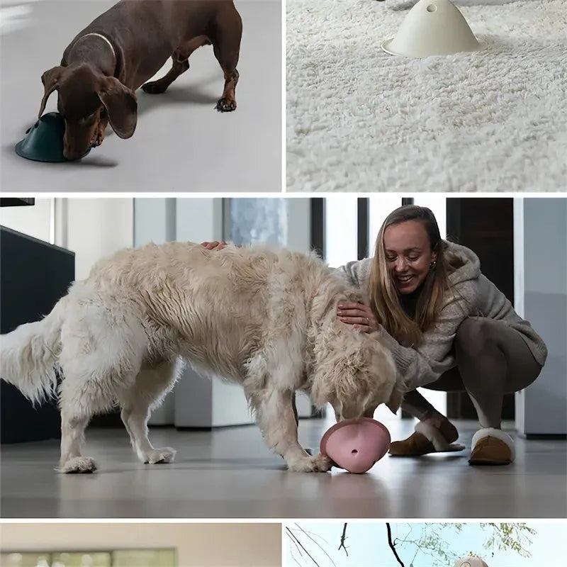 Four-piece interactive dog puzzle toy set with hidden treat compartments for big dogs